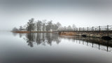 Fog at the stone bridge Poster och Canvastavla