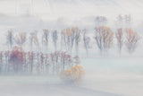 Spring mists Poster och Canvastavla