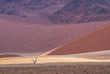 Namib's palette Poster och Canvastavla