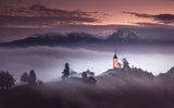 Misty morning Poster och Canvastavla