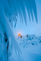 Light in the Cold Poster och Canvastavla