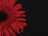 beautiful flower Poster och Canvastavla