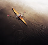 dragonfly Poster och Canvastavla