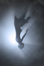 Falling Poster och Canvastavla
