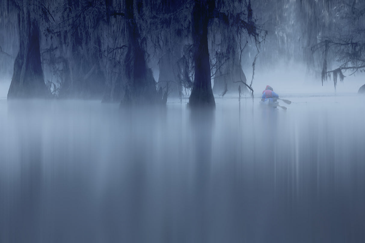 A Misty Morning Poster och Canvastavla