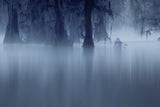 A Misty Morning Poster och Canvastavla