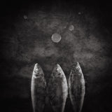 When Breath becomes Air Poster och Canvastavla