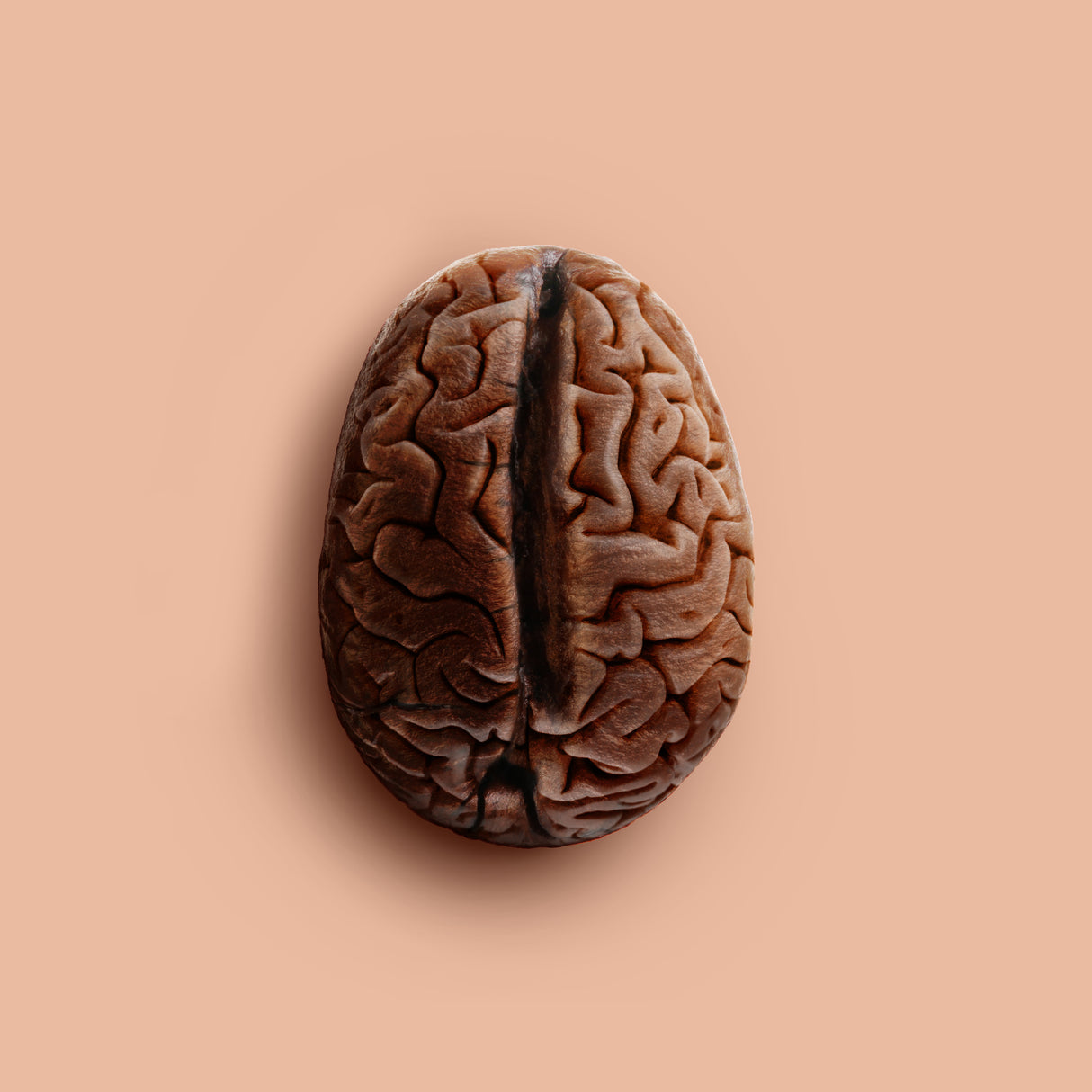 Brain Bean Poster och Canvastavla
