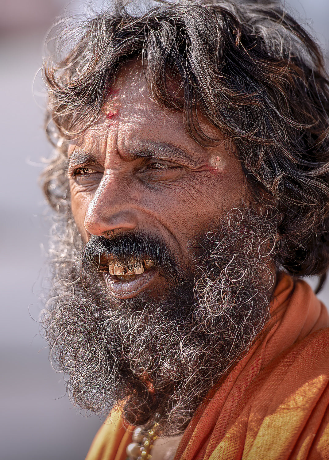 Sadhu Poster och Canvastavla