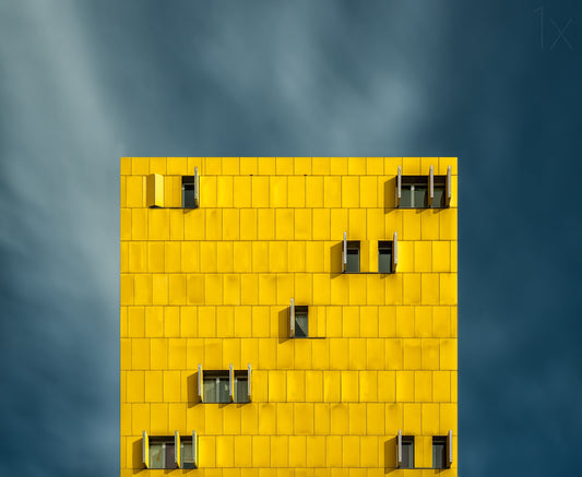 Yellow and blue Poster och Canvastavla