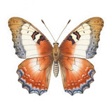 Butterfly 6 Poster och Canvastavla