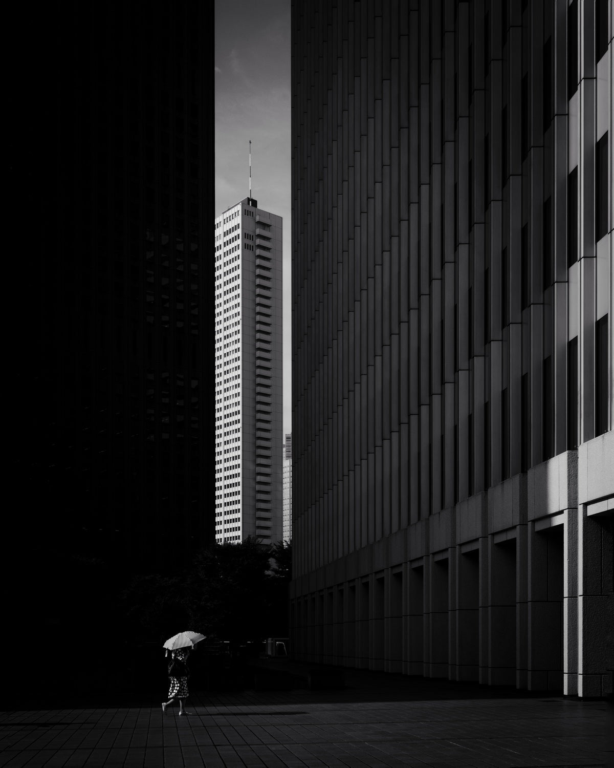 Shinjuku street Poster och Canvastavla