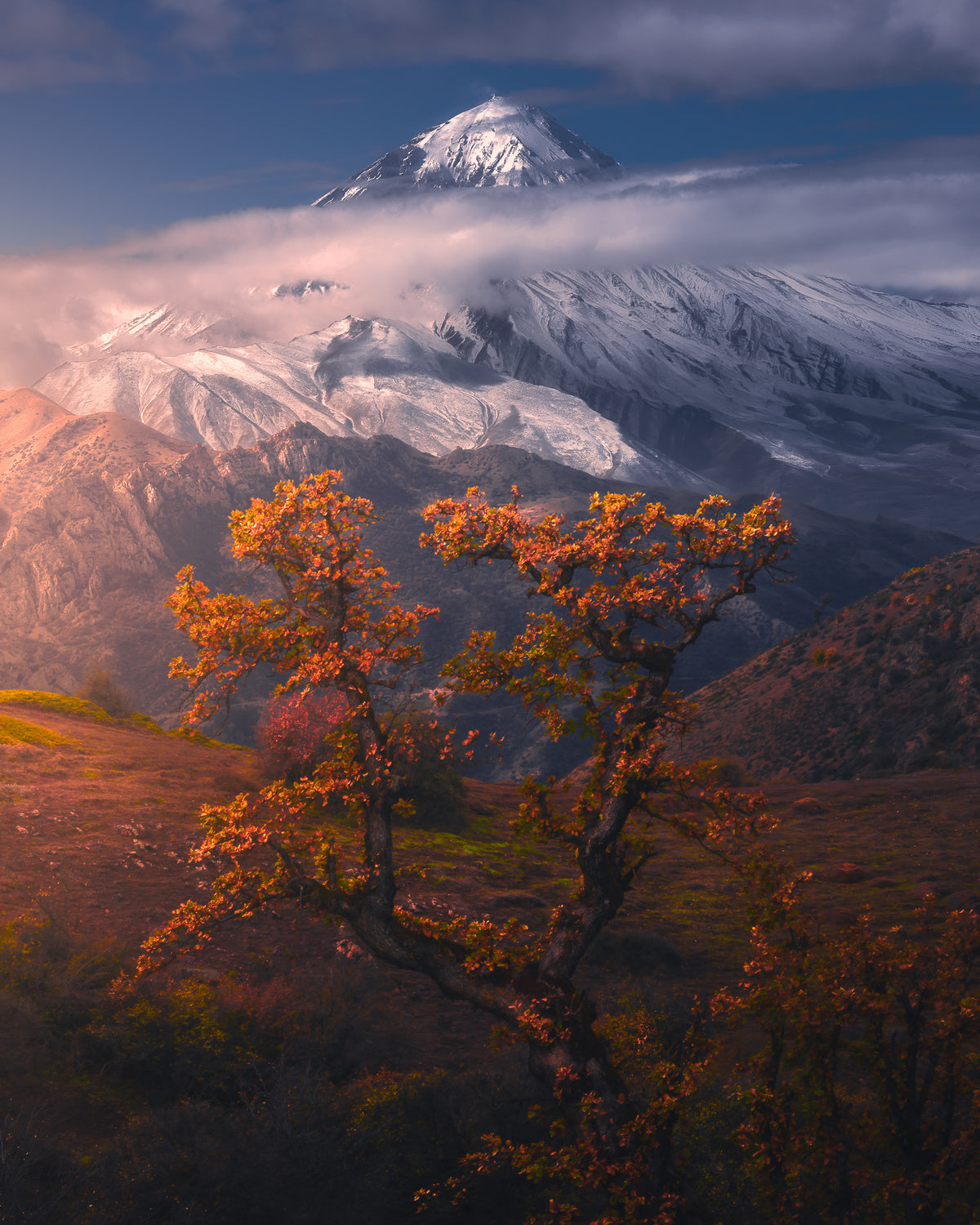 Autumnal theme in Alborz Mountains Poster och Canvastavla