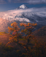 Autumnal theme in Alborz Mountains Poster och Canvastavla