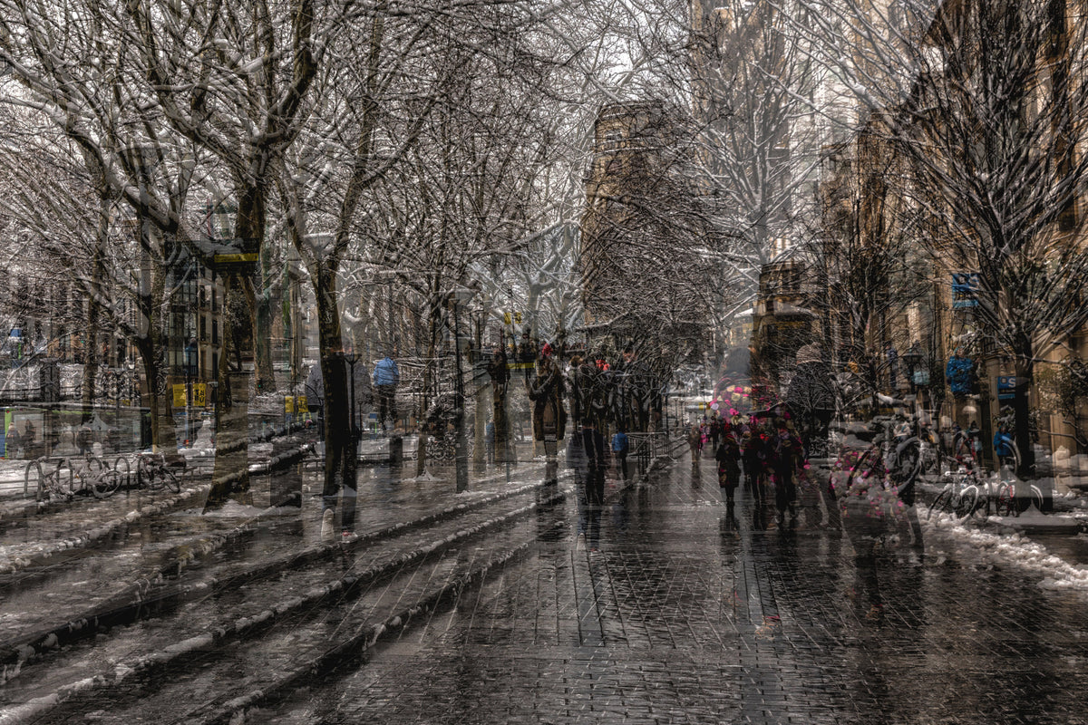 Walk on the Boulevard Poster och Canvastavla