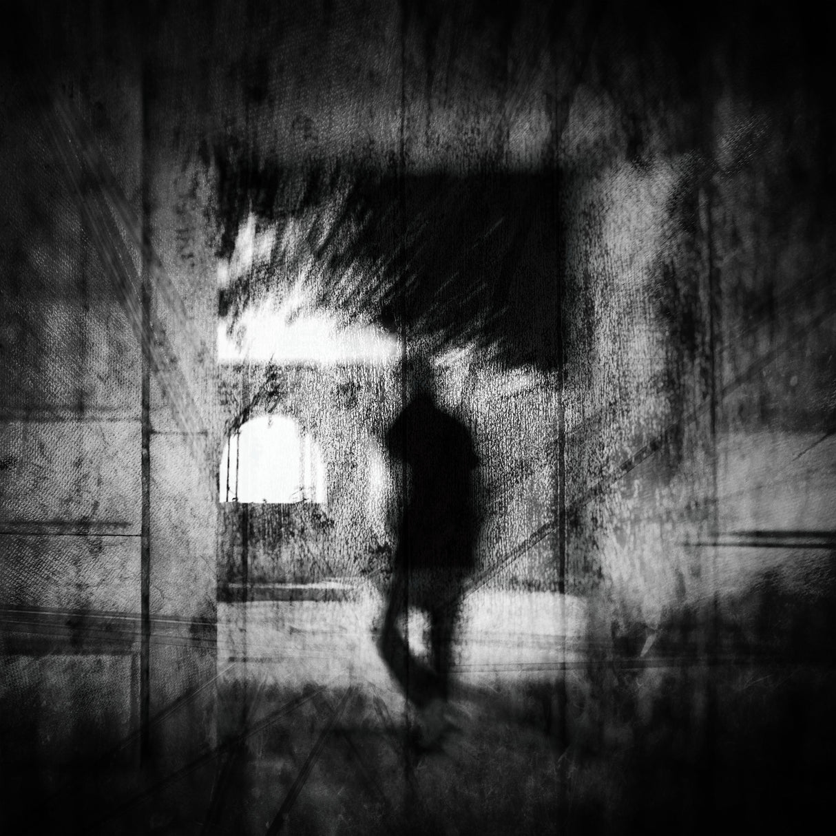 into the light.. Poster och Canvastavla