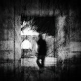 into the light.. Poster och Canvastavla