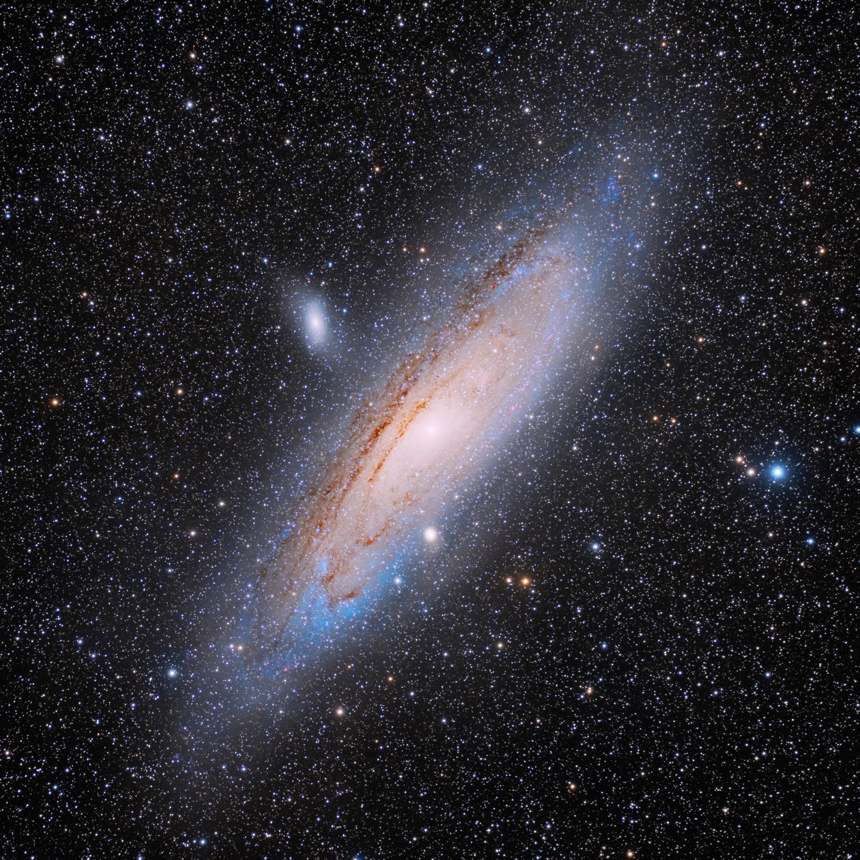 Andromeda Poster och Canvastavla