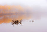 The silence of autumn Poster och Canvastavla