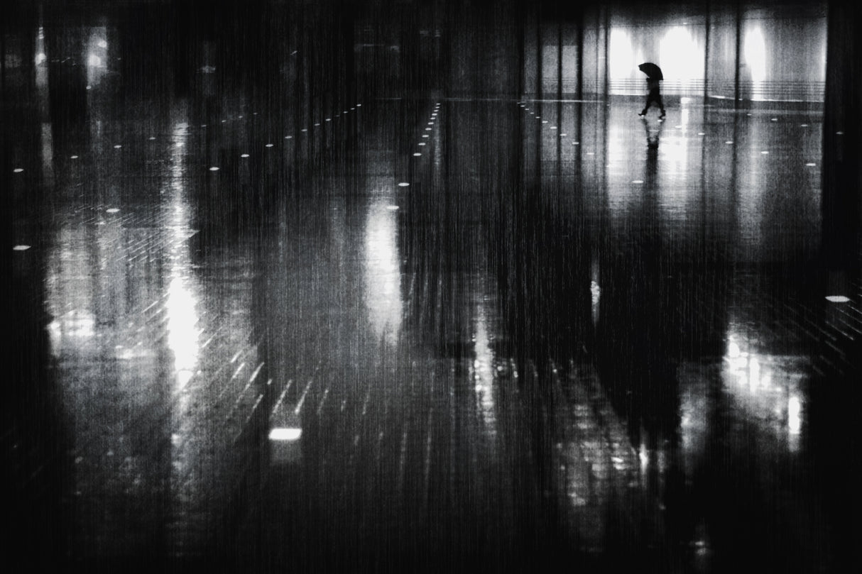 rainy night Poster och Canvastavla
