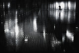 rainy night Poster och Canvastavla