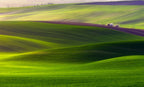 Verdant land Poster och Canvastavla