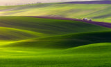 Verdant land Poster och Canvastavla