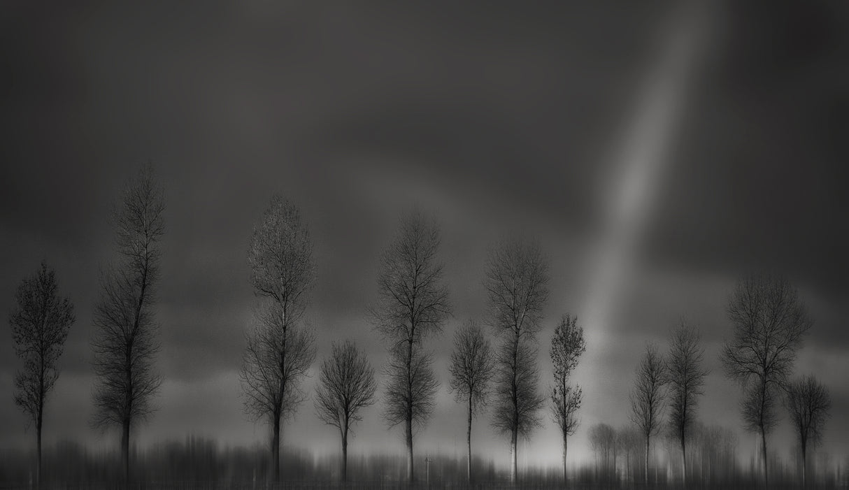Rainbow song in black and white Poster och Canvastavla