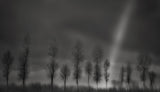 Rainbow song in black and white Poster och Canvastavla