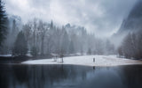 Foggy Yosemite Poster och Canvastavla