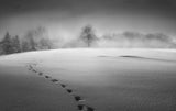 Winter scenery Poster och Canvastavla