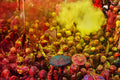 VRINDAVAN HOLI Poster och Canvastavla
