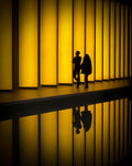 Light, silhouettes and reflections Poster och Canvastavla