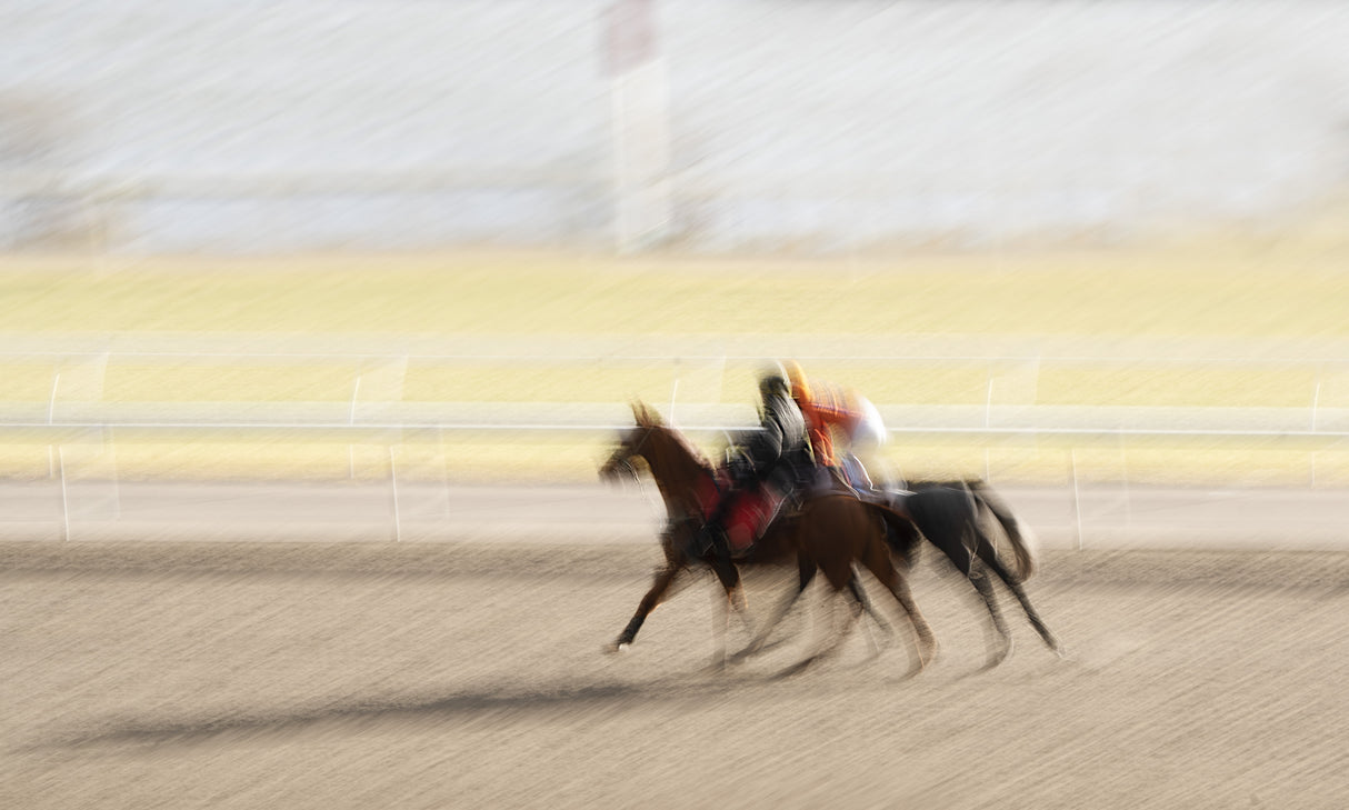 Horse Racing Poster och Canvastavla