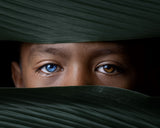 Blue Eyes Poster och Canvastavla