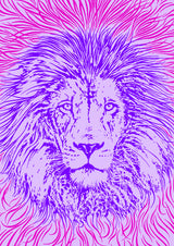 Lion Portrait – King of the Beasts Poster och Canvastavla
