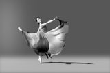 Dancer Poster och Canvastavla