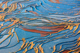 Yuanyang Hani Terraced Field-1 Poster och Canvastavla