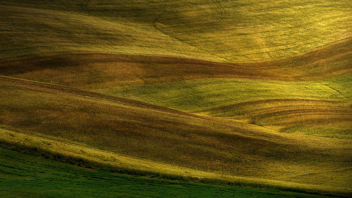 Colors and stripes in the hills. Poster och Canvastavla