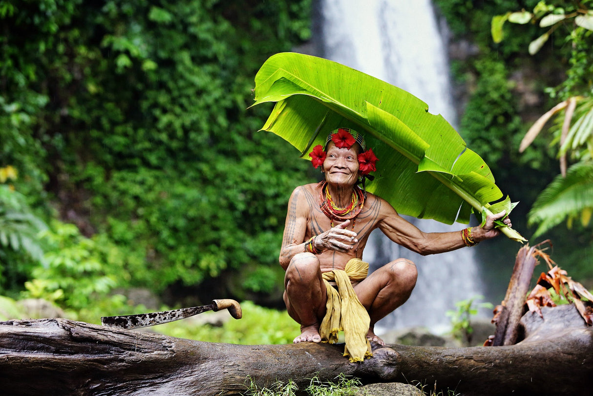 Mentawai Poster och Canvastavla