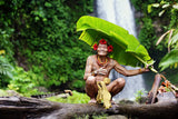 Mentawai Poster och Canvastavla
