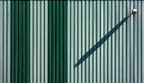 the shadow Poster och Canvastavla