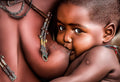 Himba Child Poster och Canvastavla