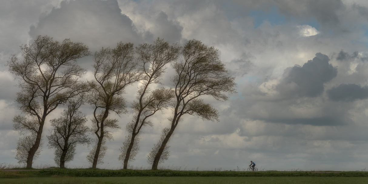 Against the wind........... Poster och Canvastavla