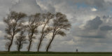 Against the wind........... Poster och Canvastavla