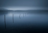CALM Poster och Canvastavla
