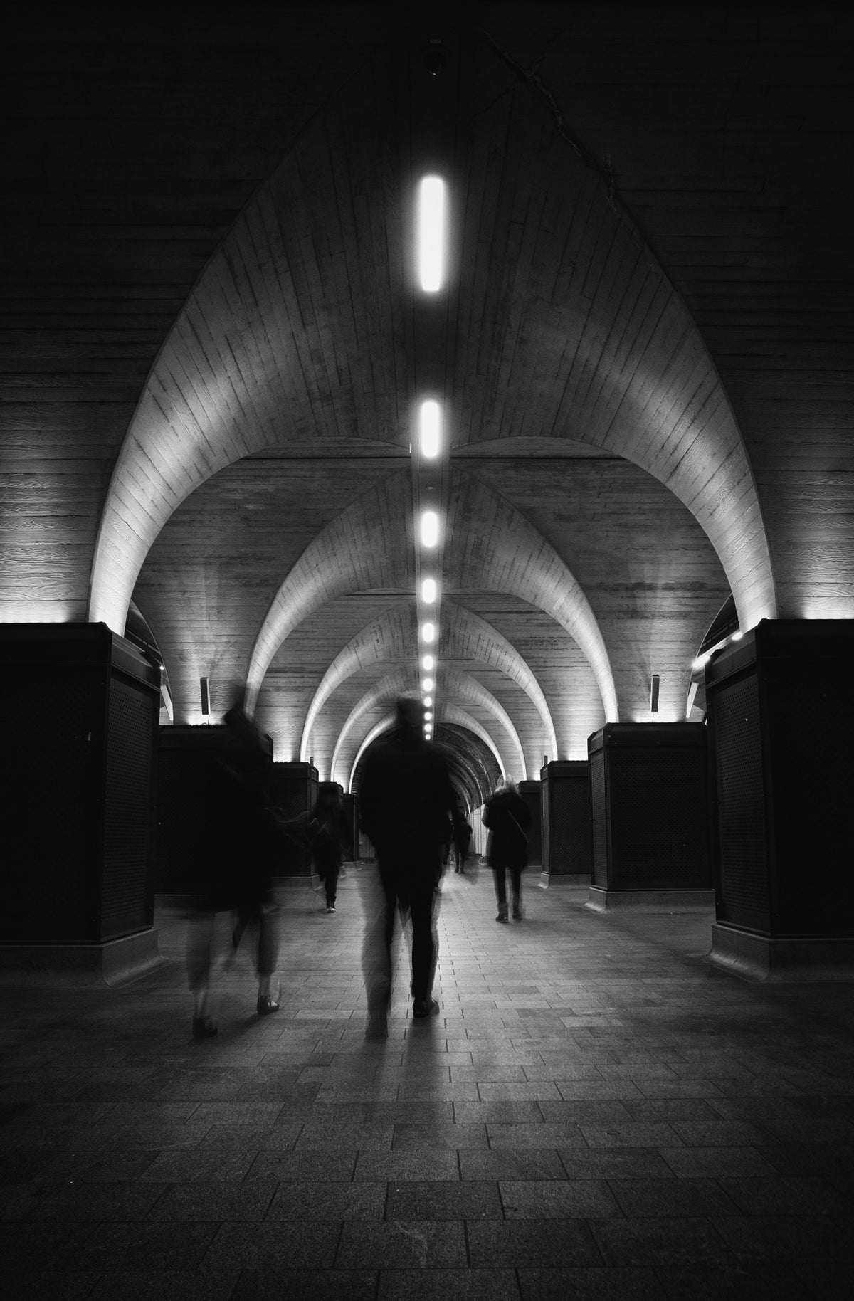 Follow the Lights Poster och Canvastavla