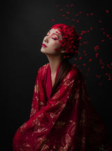 Red butterfly Poster och Canvastavla