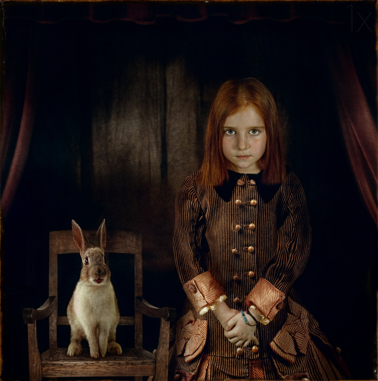 Alice 2014 Poster och Canvastavla