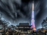 Zojoji , followed by Tokyo Tower Poster och Canvastavla